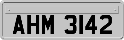 AHM3142