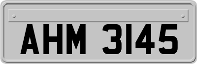 AHM3145