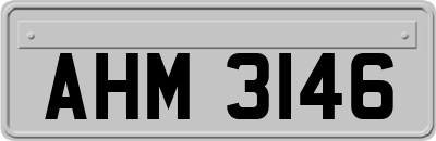 AHM3146
