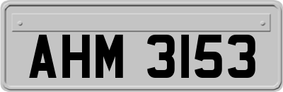 AHM3153