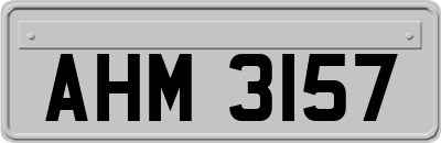 AHM3157
