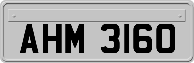 AHM3160