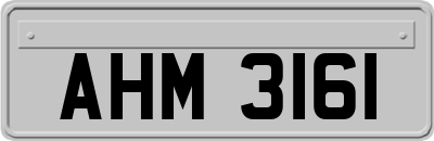 AHM3161