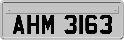 AHM3163