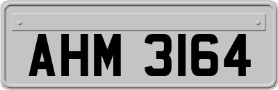 AHM3164