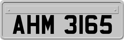 AHM3165