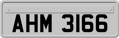 AHM3166