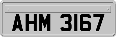 AHM3167