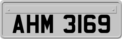 AHM3169