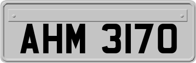 AHM3170
