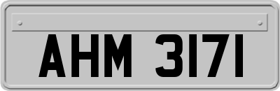 AHM3171