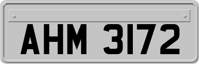 AHM3172