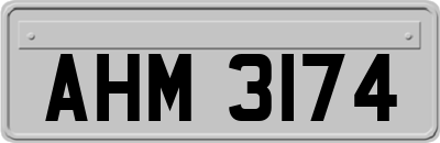 AHM3174