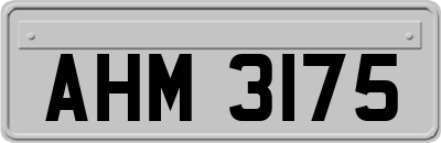 AHM3175