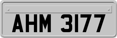 AHM3177