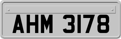 AHM3178