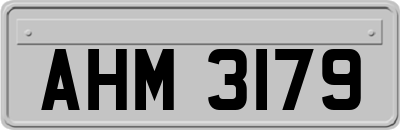 AHM3179
