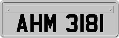 AHM3181