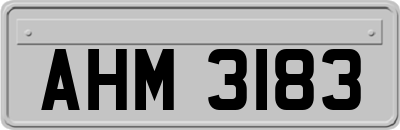AHM3183