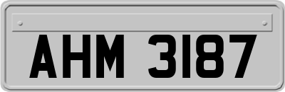 AHM3187