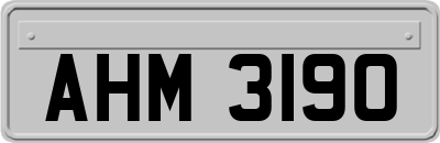 AHM3190
