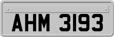 AHM3193
