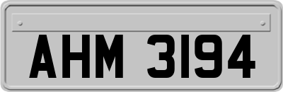 AHM3194