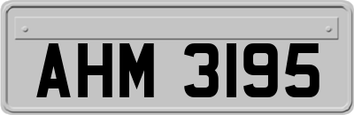 AHM3195
