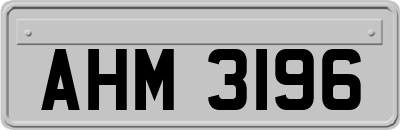 AHM3196