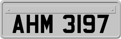 AHM3197