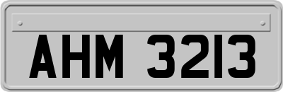 AHM3213