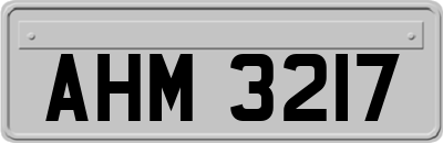 AHM3217