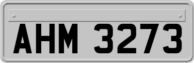 AHM3273