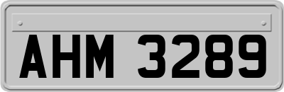 AHM3289