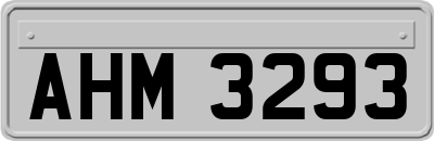 AHM3293