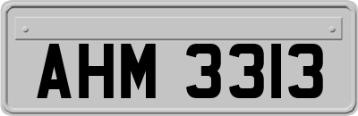 AHM3313