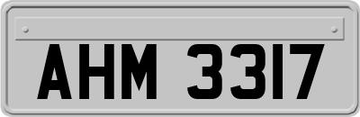 AHM3317