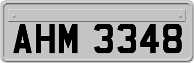 AHM3348
