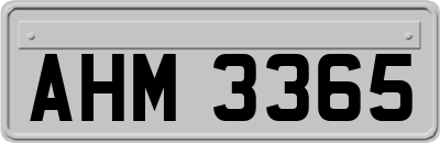 AHM3365