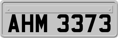 AHM3373