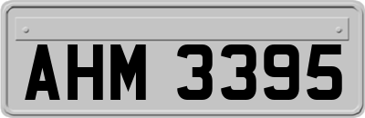 AHM3395