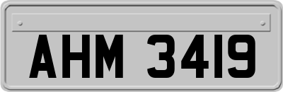 AHM3419