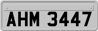 AHM3447
