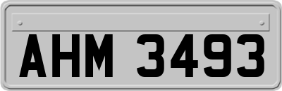 AHM3493