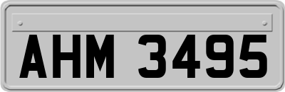 AHM3495