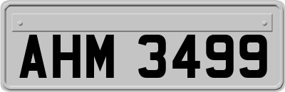 AHM3499