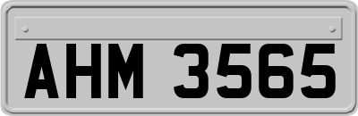 AHM3565