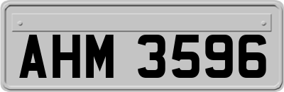 AHM3596