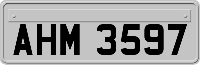 AHM3597