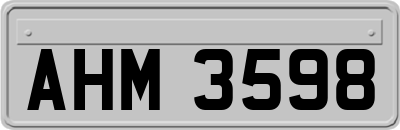 AHM3598